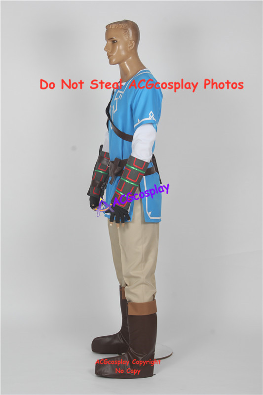 Wild Link Cosplay Costume acgc - đánh giá và giá Anime Cosplay Link